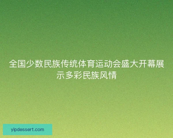 全国少数民族传统体育运动会盛大开幕展示多彩民族风情
